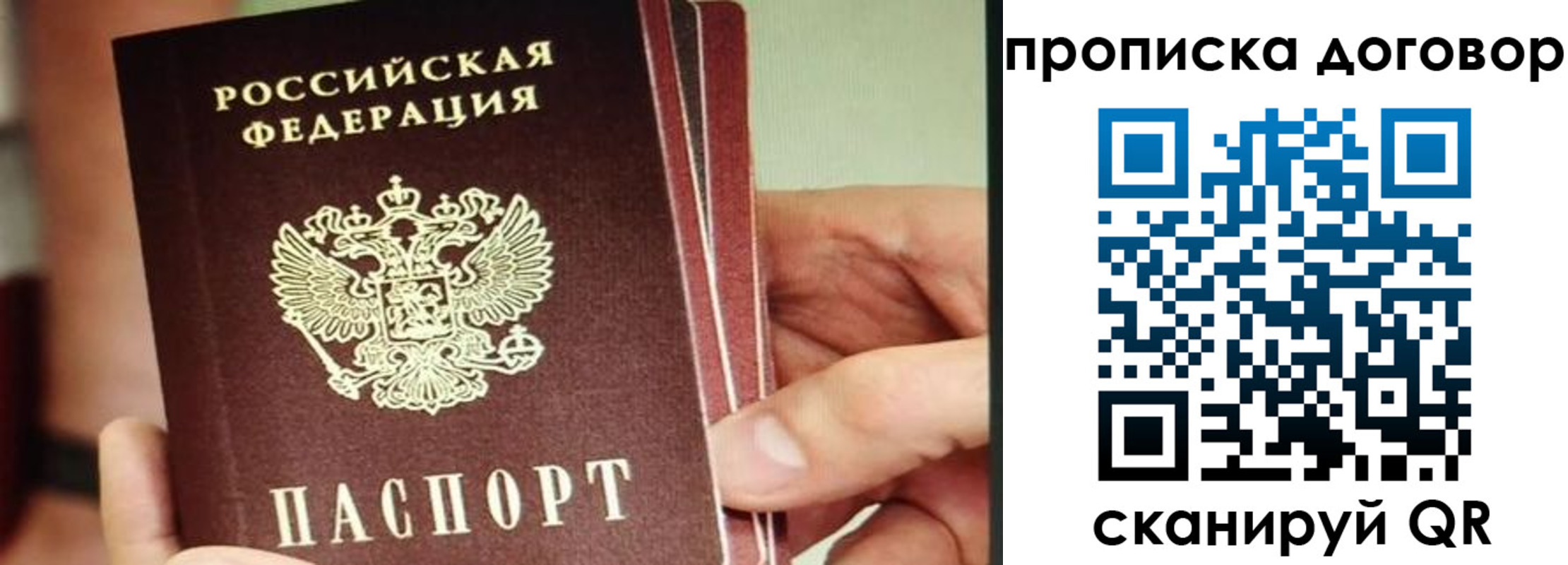 прописка в Кондрово